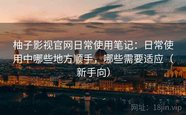 柚子影视官网日常使用笔记：日常使用中哪些地方顺手，哪些需要适应（新手向）