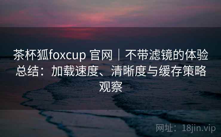 茶杯狐foxcup 官网｜不带滤镜的体验总结：加载速度、清晰度与缓存策略观察