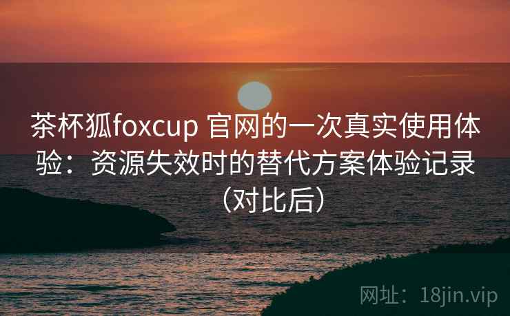 茶杯狐foxcup 官网的一次真实使用体验：资源失效时的替代方案体验记录（对比后）
