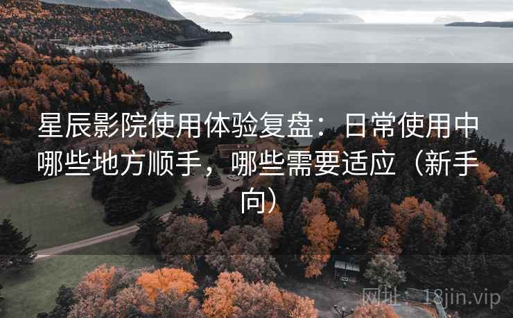 星辰影院使用体验复盘：日常使用中哪些地方顺手，哪些需要适应（新手向）