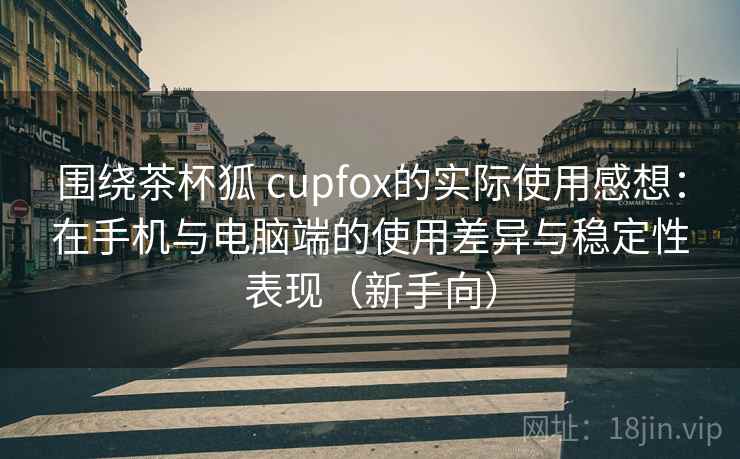 围绕茶杯狐 cupfox的实际使用感想：在手机与电脑端的使用差异与稳定性表现（新手向）