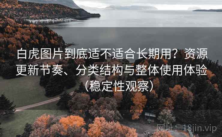白虎图片到底适不适合长期用？资源更新节奏、分类结构与整体使用体验（稳定性观察）