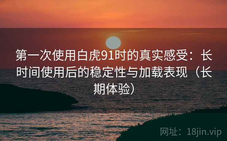 第一次使用白虎91时的真实感受：长时间使用后的稳定性与加载表现（长期体验）