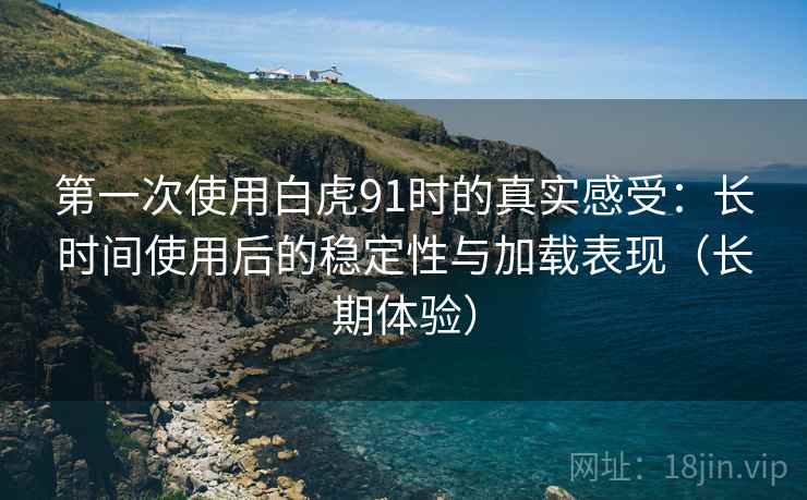 第一次使用白虎91时的真实感受：长时间使用后的稳定性与加载表现（长期体验）