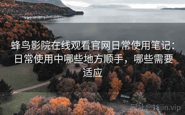 蜂鸟影院在线观看官网日常使用笔记：日常使用中哪些地方顺手，哪些需要适应